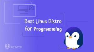 best linux distros for programming