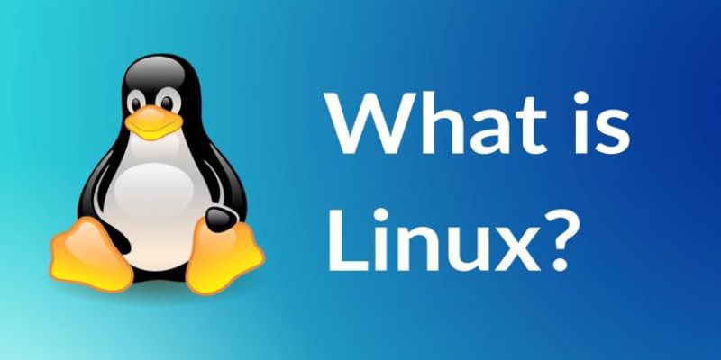 what are the best linux distros for programming