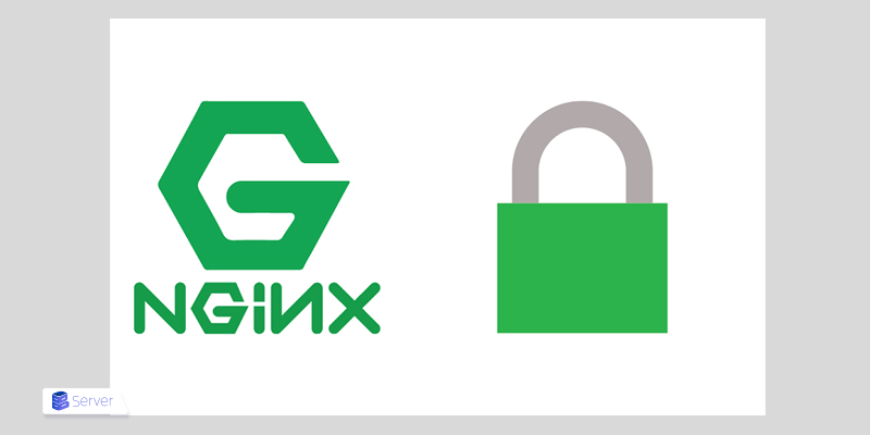 Nginx Web Server Security