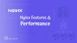 What is Nginx