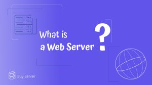 What is a Web Server