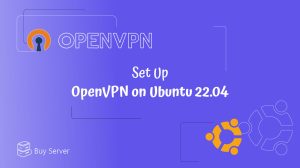 OpenVPN